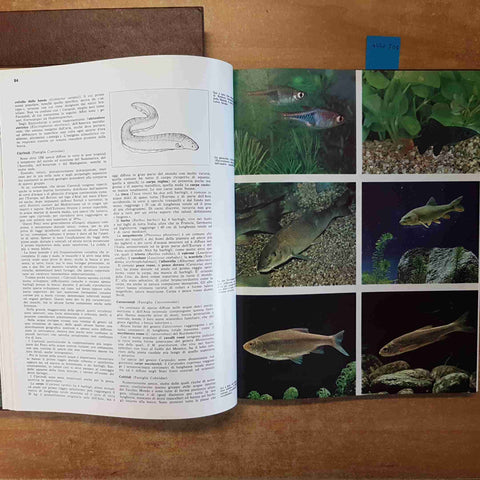SCIENZE NATURALI - GLI ANIMALI VERTEBRATI - 2 volumi DE AGOSTINI 1973