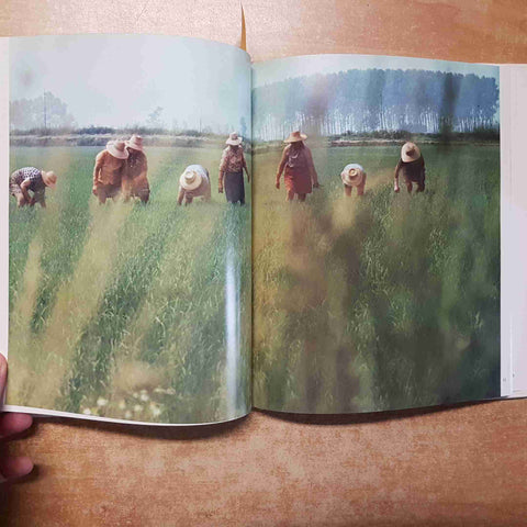 PIEMONTE E VALLE D'AOSTA - MARIO SOLDATI, FOLCO QUILICI 1978 ESSO ITALIANA