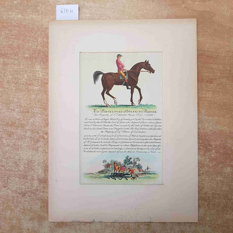 THE PORTRAITURE OF SPANKING RORGER stampa inglese equestre e passepartout IPPICA