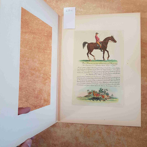 THE PORTRAITURE OF SPANKING RORGER stampa inglese equestre e passepartout IPPICA