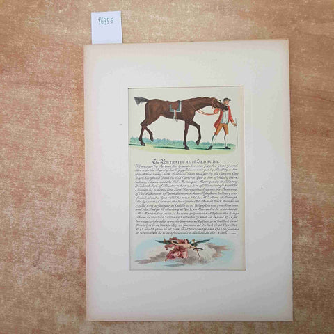 THE PORTRAITURE OF SEDBURY stampa inglese equestre in passepartout IPPICA