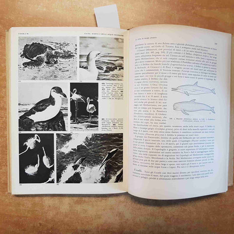 LA FAUNA conosci l'Italia VOLUME 3 TOURING CLUB 1958