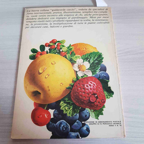 GUIDAVERDE CURCIO - FRUTTA IN TERRAZZO IL GIARDINAGGIO FACILE E PRATICO - 1978
