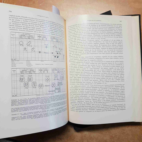 HEILMEYER - ATLAS DER KLINISCHEN HAMATOLOGIE UND CYTOLOGIE textband + bildband
