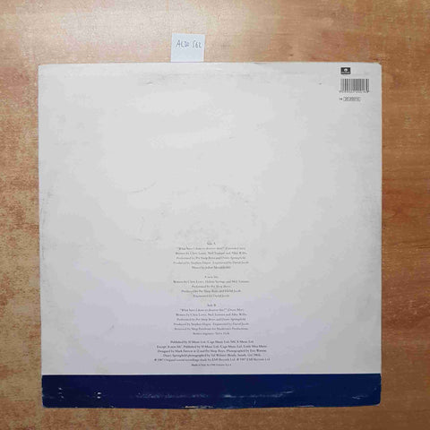 PET SHOP BOYS with DUSTY SPRINGFIELD What have i done to deserve this? LP VINYL