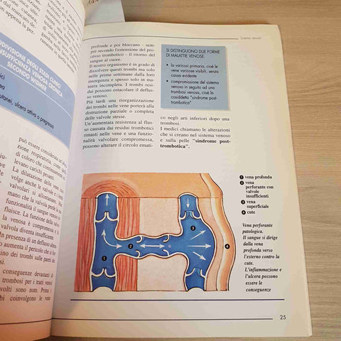 KLYSCZ, JUNGER - EDIZIONI P.R. - RIABILITAZIONE VASCOLARE consigli esercizi 1998