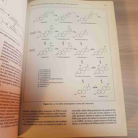 MONDUZZI EDITORE - GINECOLOGIA E OSTETRICIA 1987 aborto gravidanza tumori