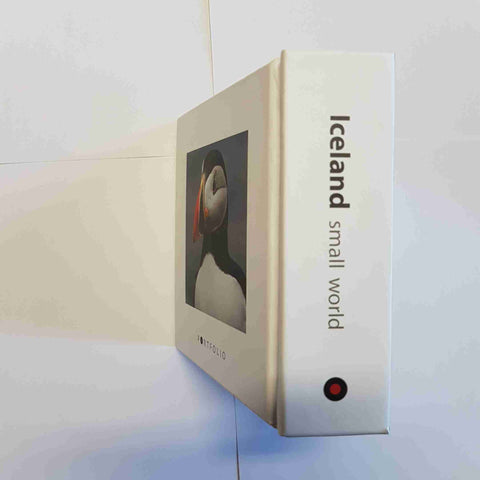 SIGURJONSSON - PORTFOLIO - ICELAND SMALL WORLD - 2017