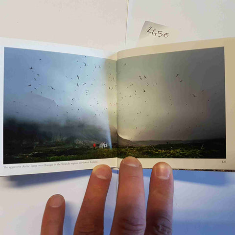 SIGURJONSSON - PORTFOLIO - ICELAND SMALL WORLD - 2017