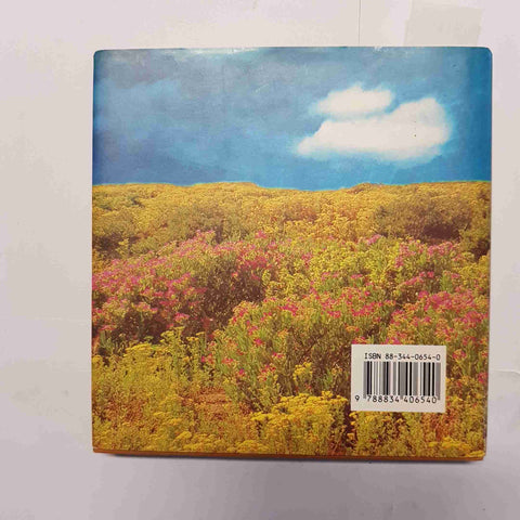 NORMAN PEALE - ARMENIA - IL  PENSIERO POSITIVO PER VIVERE IN ARMONIA 1995