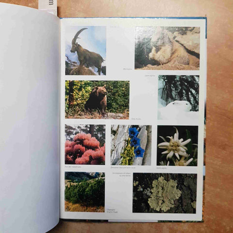 IL NOSTRO MONDO NATURA D'ITALIA per le tue ricerche 150 STICKER DE AGOSTINI