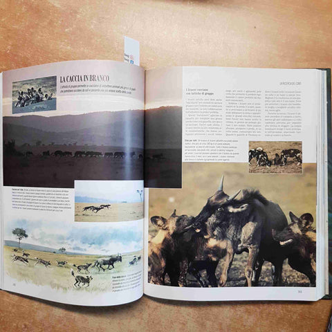 ALLA SCOPERTA DEI SEGRETI DELLA NATURA animali piante SELEZIONE READER'S DIGEST