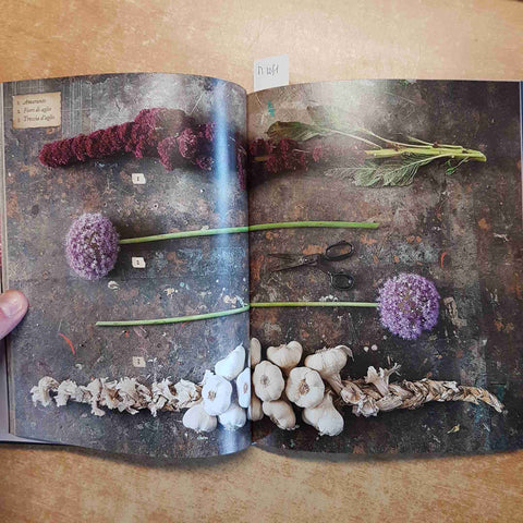 MARIO NOBILE - 24 ORE CULTURA - FIORI DEL MALE GIARDINAGGIO E DECADENZA 2017