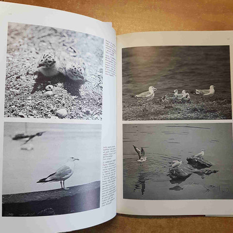 FAUNA DELL'ETRURIA SETTENTRIONALE - ALMO FARINA BANCA POPOLARE DELL'ETRURIA