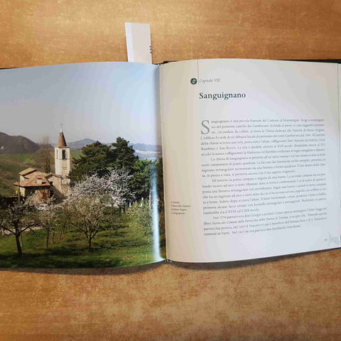 ALESSANDRO DISPERATI - MONTESEGALE STORIA PAESAGGIO BELL&TANY oltrepo pavese