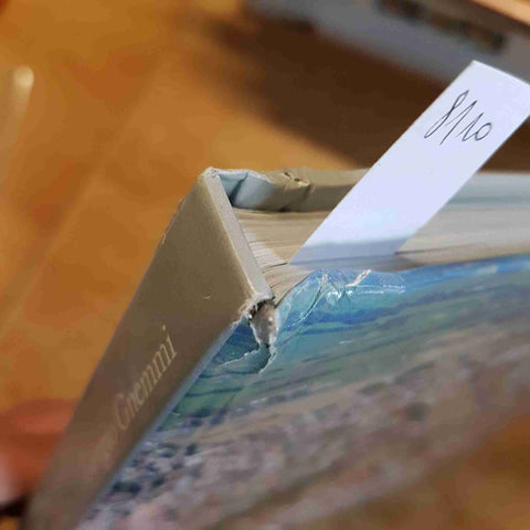 GIORGIO GNEMMI - TERRE DI NOVARA novarese risaie trecate ticino sillavengo boca