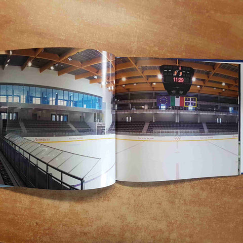 ANTOLOGIA ILLUSTRATA DEL PIEMONTE E VALLE D'AOSTA LA TORINO DELLE OLIMPIADI