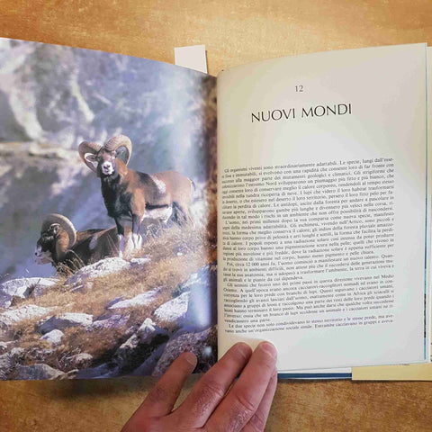 DAVID ATTENBOROUGH - DE AGOSTINI - IL PIANETA VIVENTE 1984