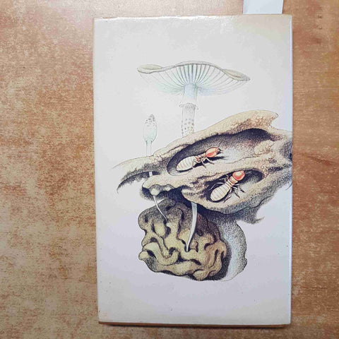 MAURICE MAETERLINCK LA VITA DELLE TERMITI grande etnologo RIZZOLI L'ORNITORINCO