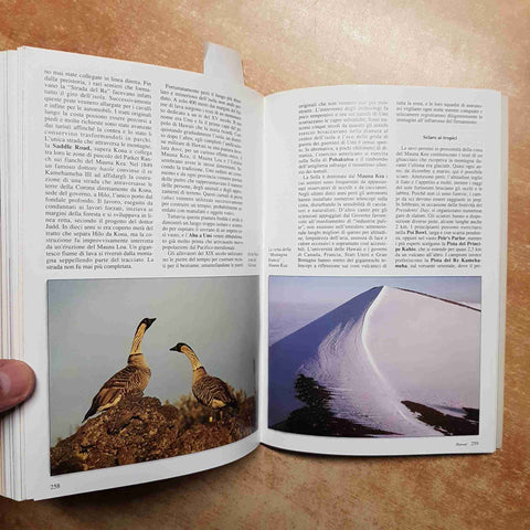 GUIDA APA HAWAII 1989 ZANFI EDITORI surf hawaiana waikiki honolulu kilauea kauai