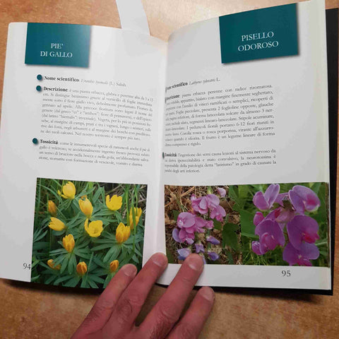 FORME, SAPORI, COLORI E VELENI manuale della flora velenosa di Graffignana LODI