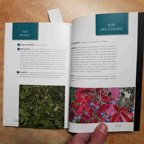 FORME, SAPORI, COLORI E VELENI manuale della flora velenosa di Graffignana LODI