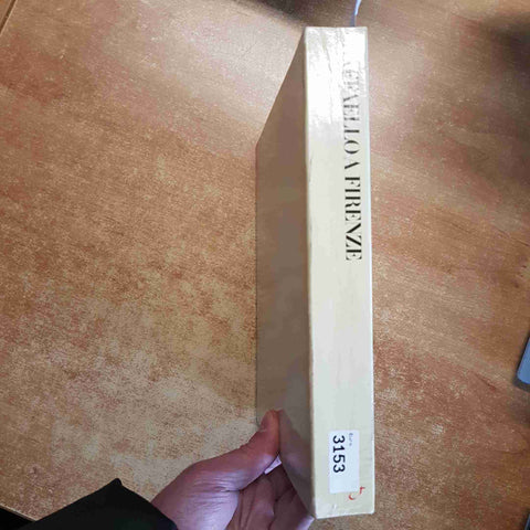 RAFFAELLO A FIRENZE DIPINTI E DISEGNI DELLE COLLEZIONI FIORENTINE 1984 ELECTA