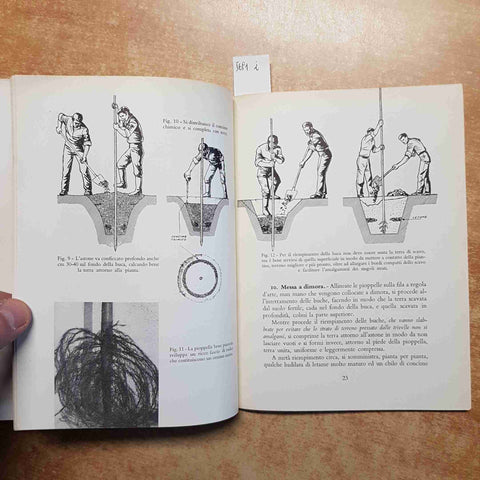 GIUSEPPE TRONCO - IL PIOPPO  insegnamento agrario professionale 1964 AGRICOLTORI
