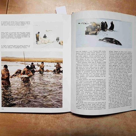 STONEHOUSE - VITA DELLL'ARTICO ECOLOGIA DELL'ESTREMO NORD 1973 MONDADORI