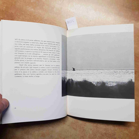 RICHARD BACH - IL GABBIANO JONATHAN LIVINGSTON 1975 RIZZOLI 7°edizione RILEGATO