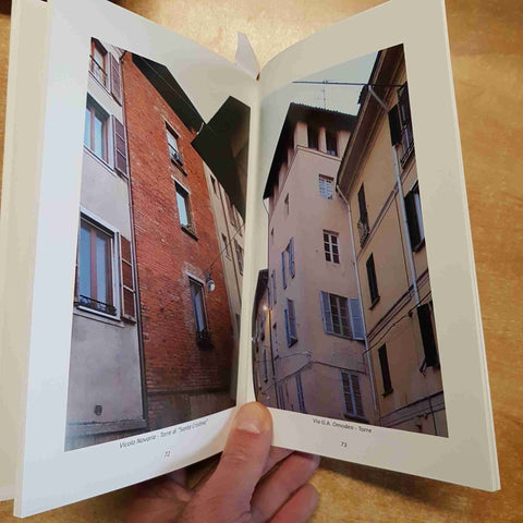 MACELLI, DOSSENA ...PAVIA COL NASO ALL'INSU'...UN ITINERARIO FRA LE TORRI 2013