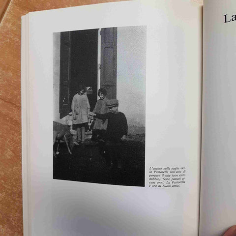 OLIVIERO RINALDI, MEMORIE DEL MERGOZZOLO comunita' montana cusio mottarone 1984