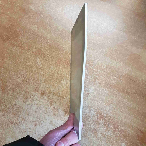 Raso RESPONSABILITA' PROFESSIONALE NELLA CHIRURGIA CAROTIDEA sigillato MINERVA