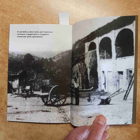 GIUSEPPE ARIINO - DULSEMAR DOLCE E AMARO VITA E LAVORO IN CASCINA E NEI CAMPI