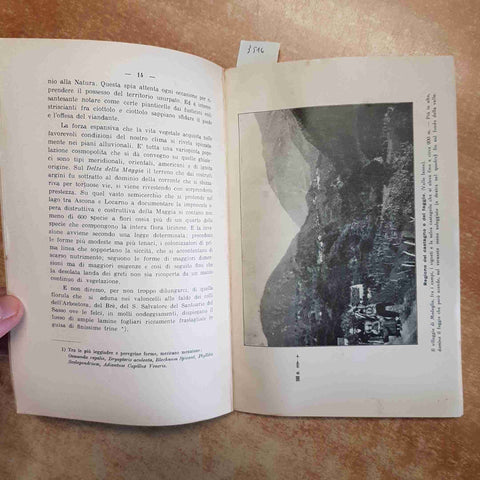 MARIO JAGGLI - CENNI SULLA FLORA TICINESE CON TAVOLE PER RICONOSCERE 1924 GRASSI