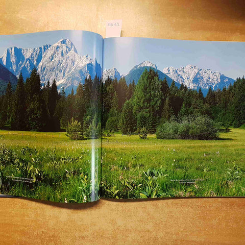 LIVIO PIATTA - LE ALPI DALL'ALBA AL TRAMONTO 2006 WORLD IMAGES con DVD!!!