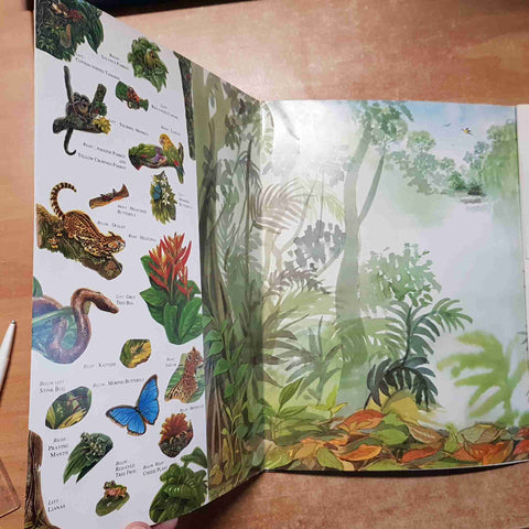 MAKE YOUR OWN RAIN FOREST INCLUDES GIANT THREE-DIMENSIONAL PRESS-OUT RAINFOREST