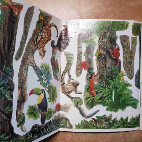 MAKE YOUR OWN RAIN FOREST INCLUDES GIANT THREE-DIMENSIONAL PRESS-OUT RAINFOREST