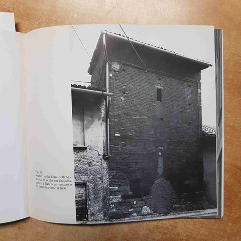 GIOVANNI VACCARI - PAVIA TORRI E CITTA' 1986 fotografie CHIOLINI - LUIGI PONZIO