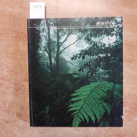 JOHN MACKINNON - BORNEO LE GRANDI DISTESE SELVAGGE 1984 MONDADORI kinabalu