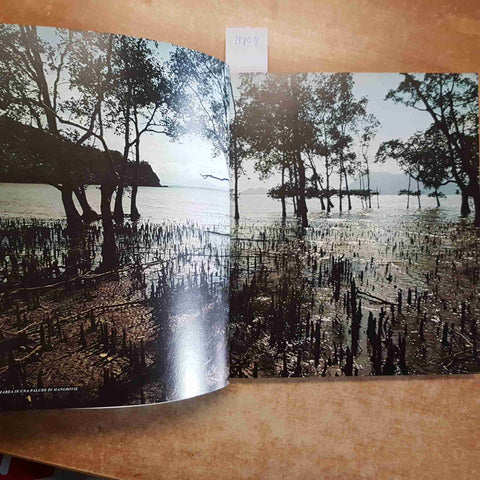 JOHN MACKINNON - BORNEO LE GRANDI DISTESE SELVAGGE 1984 MONDADORI kinabalu