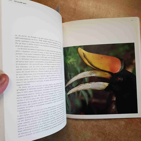 JOHN MACKINNON - BORNEO LE GRANDI DISTESE SELVAGGE 1984 MONDADORI kinabalu
