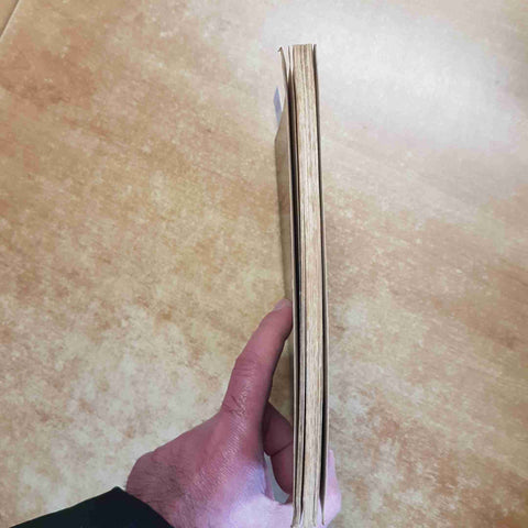 RENE' PACHE - ESISTE L'INFERNO? 1986 EUN Bibbia Chiesa cattolica ALDILA'