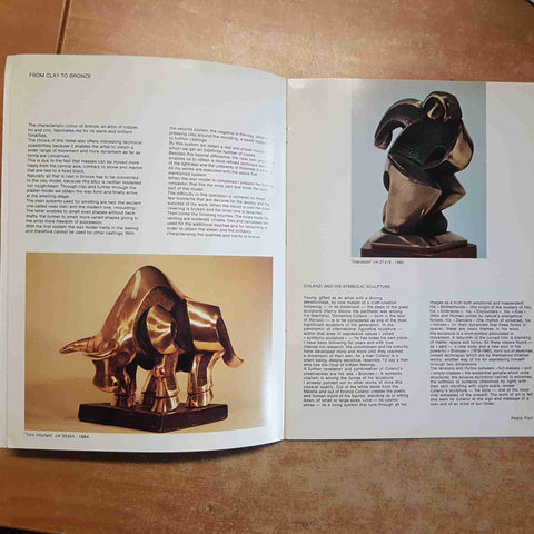 DOMENICO COLANZI CATALOGO ARTE Galleria Brera 3 COLOGNO MONZESE ARCHI CHIETI