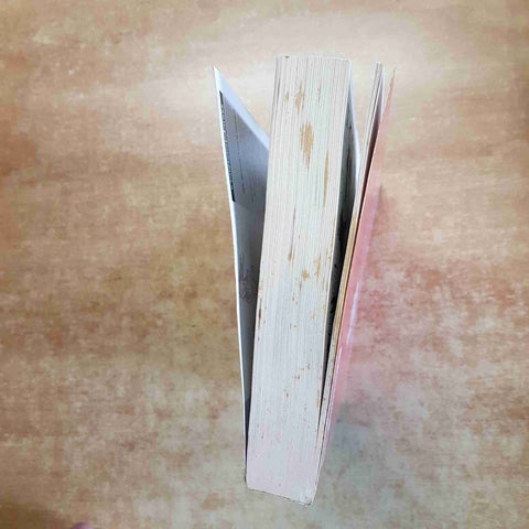 MAXI TEX 12 - LO SQUADRONE INFERNALE SERGIO BONELLI 332 pagine storia completa