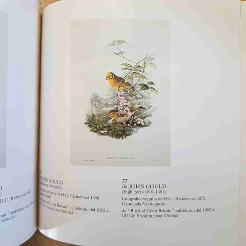 LA NATURA NELL'ARTE 2 GALLERIE SALAMON  DIPINTI STAMPE DISEGNI DAL XVII SECOLO