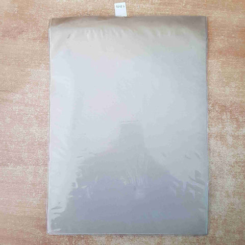 STAMPA INCISIONE XILOGRAFIA FIRMATA E NUMERATA 69/99 FORSE GIUSEPPE COMINETTI???