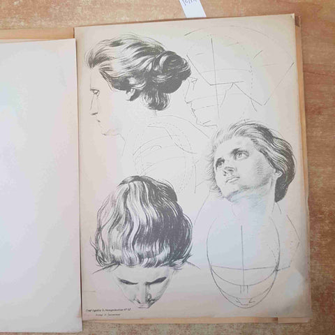 12 MODELLI DA DISEGNO vintage Prof Renggli Ernst Ingold studio anatomia artista