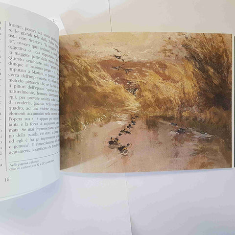 POMPEO MARIANI LE LANCHE DEL TICINO CATALOGO D'ARTE ANTEA EDIZIONI 1996 PAVIA