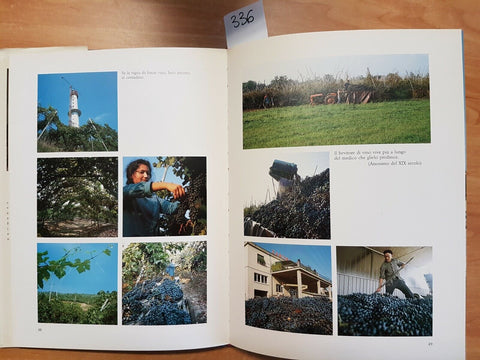 BARISONZO - CENTO VENDEMMIE CANTINA SOCIALE COOPERATIVA DI OLEGGIO 1991 - (